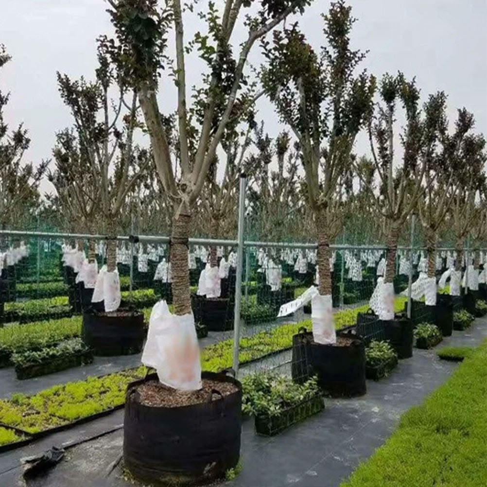 Grow Bags